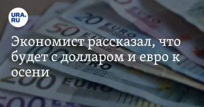 Петр Пушкарев - Экономист рассказал, что будет с долларом и евро к осени - ura.news - Россия - Бразилия - Индия - Юар