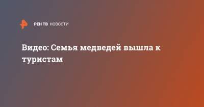 Видео: Семья медведей вышла к туристам - ren.tv - Югра - Миасс - Югорск