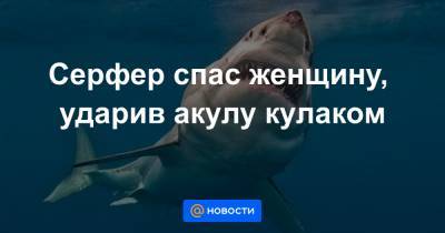 Анна Лысенко - Серфер спас женщину, ударив акулу кулаком - news.mail.ru