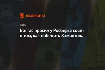 Льюис Хэмилтон - Нико Росберг - Михаэль Шумахер - Боттас просил у Росберга совет о том, как победить Хэмилтона - championat.com