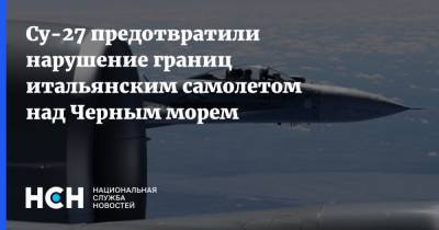 Су-27 предотвратили нарушение границ итальянским самолетом над Черным морем - nsn.fm - Россия - Италия