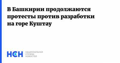 В Башкирии продолжаются протесты против разработки на горе Куштау - nsn.fm - Башкирия