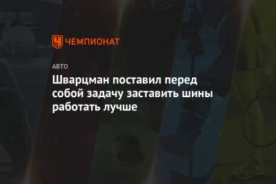 Роберт Шварцман - Шварцман поставил перед собой задачу заставить шины работать лучше - championat.com