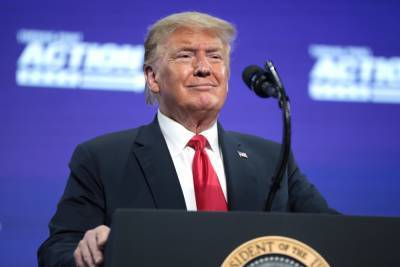 Дональд Трамп - Владимир Путин - СМИ: Трамп хочет встретиться с Путиным до президентских выборов в США - vm.ru - Россия - США - Нью-Йорк