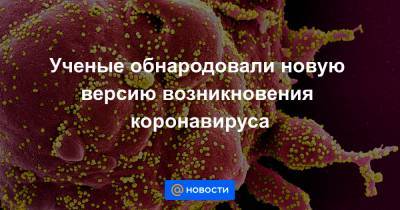 Ученые обнародовали новую версию возникновения коронавируса - news.mail.ru - Ухань