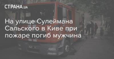 На улице Сулеймана Сальского в Киве при пожаре погиб мужчина - strana.ua