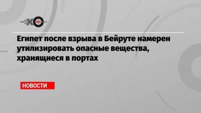 Египет после взрыва в Бейруте намерен утилизировать опасные вещества, хранящиеся в портах - echo.msk.ru - Египет - Бейрут