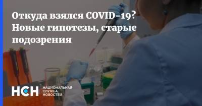 Откуда взялся COVID-19? Новые гипотезы, старые подозрения - nsn.fm - Ухань