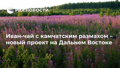 Иван-чай с камчатским размахом – новый проект на Дальнем Востоке - ria.ru - Москва - Дальний Восток