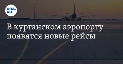 В курганском аэропорту появятся новые рейсы - ura.news - Москва - Курган