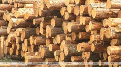 Роман Янив - Продажи круглого леса через БУТБ в январе-июле выросли на 27% - belta.by - Белоруссия - Минск