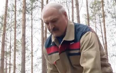 Александр Лукашенко - Олег Соскин - "Это надо быть таким монстром": Лукашенко поставили "диагноз", раскрыто его будущее - popcorn.politeka.net - Украина - Белоруссия