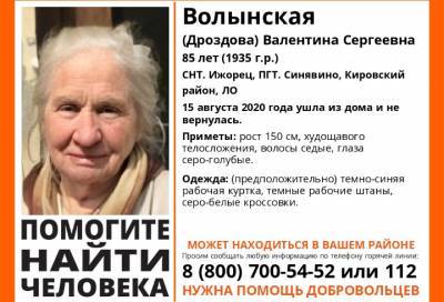 Может находиться в вашем районе: в Ленобласти ищут 85-летнюю пенсионерку - online47.ru - Ленинградская обл. - р-н Кировский - Всеволожск