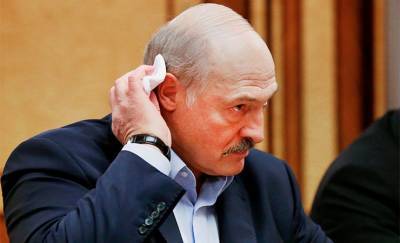Александр Лукашенко - Лидий Ермошин - Гомельчанин обратился в МВД — требует задержать Ермошину и Лукашенко - gomel.today