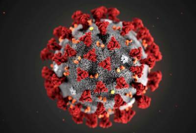 Елен Малышев - Ученые нашли главную уязвимость коронавируса - online47.ru - Москва - США
