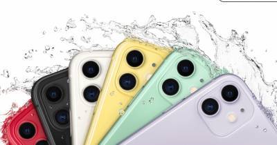 iPhone 11 был признан самым популярным смартфоном в мире - live24.ru - Китай - Южная Корея - США - Англия - Германия - Япония