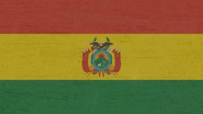 Аньес Жанин - Временные власти Боливии оценили ущерб от протестов в $1 млрд - piter.tv - Боливия - Протесты