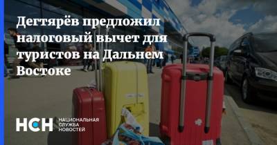 Михаил Мишустин - Михаил Дегтярев - Дегтярёв предложил налоговый вычет для туристов на Дальнем Востоке - nsn.fm - Хабаровский край - Благовещенск