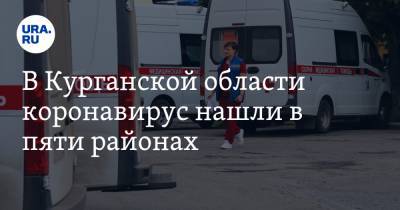 В Курганской области коронавирус нашли в пяти районах - ura.news - Курганская обл. - Шадринск