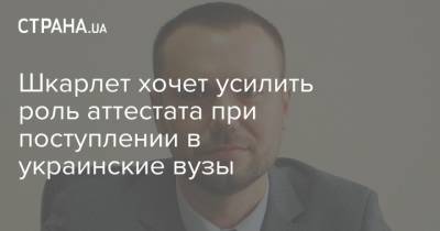 Сергей Шкарлет - Шкарлет хочет усилить роль аттестата при поступлении в украинские вузы - strana.ua
