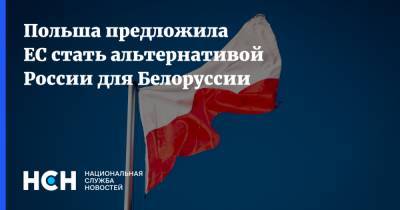 Александр Лукашенко - Павел Яблоньский - Польша предложила ЕС стать альтернативой России для Белоруссии - nsn.fm - Россия - Белоруссия - Польша - Протесты