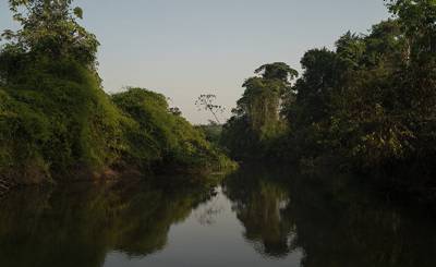 La Vanguardia (Испания): погубит ли Китай леса Амазонии? - inosmi.ru - Китай - Гонконг - Бразилия - Испания - Чили - Макао - Суринам - Сотрудничество