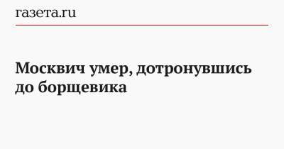 Москвич умер, дотронувшись до борщевика - gazeta.ru - Москва - Московская обл. - Зеленоград