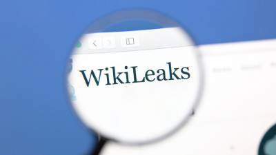 Дональд Трамп - Пол Манафорт - WikiLeaks подозревают в оказании помощи российской разведке в 2016 году - gazeta.ru - Россия - США
