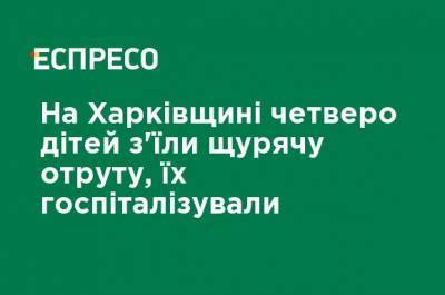 Виктор Забашта - На Харьковщине четверо детей съели крысиный яд, их госпитализировали - ru.espreso.tv