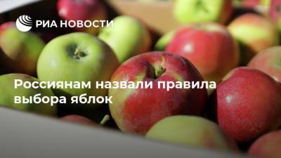 Андрей Бобровский - Россиянам назвали правила выбора яблок - ria.ru - Москва - Россия