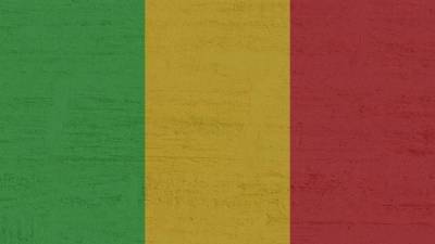 Мятежные военные заявили о закрытии всех границ Мали - piter.tv - Мали
