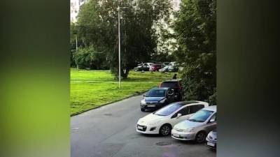 Полицейские задержали поджигателя автомобиля на Капитанской - piter.tv - Ленинградская обл. - Санкт-Петербург