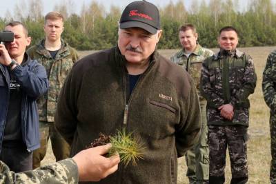 Александр Лукашенко - Лукашенко указал Западу на бревно в глазу - tvc.ru - США - Белоруссия - Германия - Франция - Минск