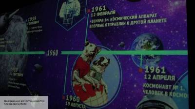Зоопсихологи раскрыли, что пережили в космосе Белка и Стрелка - politros.com