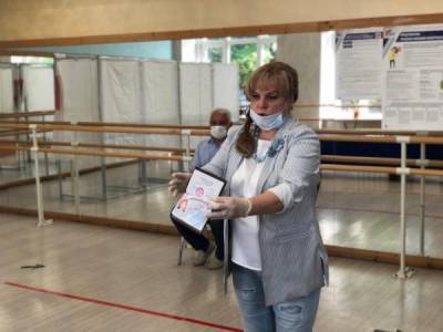 Элла Памфилова - Заявку на голосование на дому можно будет подать на сайте госуслуг - nakanune.ru