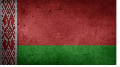 Александр Лукашенко - Валерий Бельский - Помощник Лукашенко оценил ущерб от протестов в Белоруссии в 500 миллионов долларов - piter.tv - Белоруссия