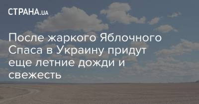 Наталья Диденко - После жаркого Яблочного Спаса в Украину придут еще летние дожди и свежесть - strana.ua - Украина - Киев