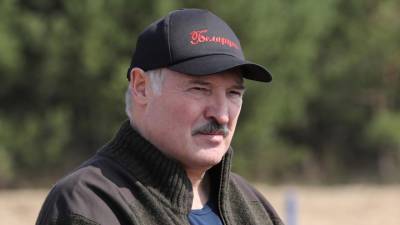 Мария Захарова - Линас Линкявичюс - Лукашенко объявлен невъездным в Литву - vesti.ru - Россия - Белоруссия - Литва - Вильнюс