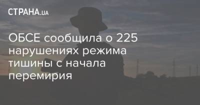 ОБСЕ сообщила о 225 нарушениях режима тишины с начала перемирия - strana.ua - Донбасс