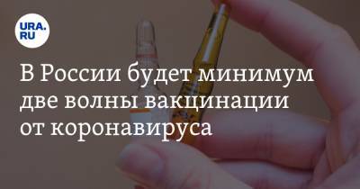 Ринат Максютов - В России будет минимум две волны вакцинации от коронавируса - ura.news - Россия