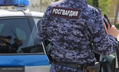 Максим Горький - Десантники и бойцы Росгвардии подрались в Москве в парке Горького - nation-news.ru