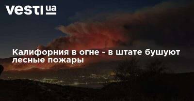 Калифорния в огне - в штате бушуют лесные пожары - vesti.ua - США - шт. Калифорния
