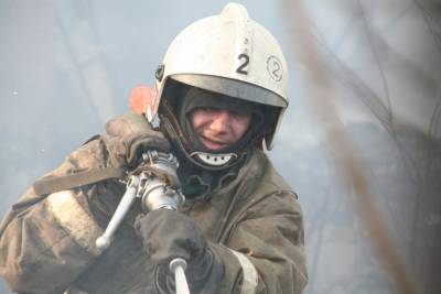 Пожарные ликвидировали возгорание под Новосибирском - novos.mk.ru - Россия - Новосибирск - Новосибирская обл.