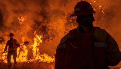 Ньюсом Гэвин - Лесные пожары в Калифорнии: тысячи людей эвакуированы, десятки зданий уничтожены - usa.one - Лос-Анджелес - шт. Калифорния