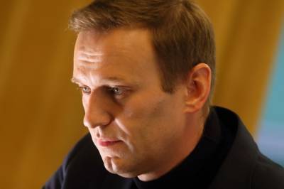 Сергей Митрохин - «Отмолчаться не удастся»: Митрохин призвал СК начать расследование об отравлении Навального - radiokp.ru - Россия