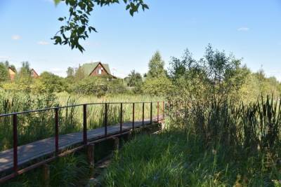 В Рязанском селе местные жители сами построили мост через пруд - rzn.mk.ru - Россия - район Сасовский