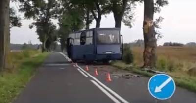 Появилось видео с места ДТП под Правдинском, где перевернулся автобус с рабочими - klops.ru - Правдинск
