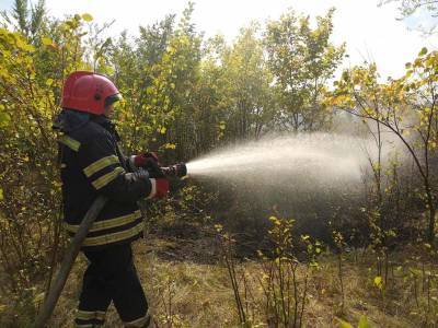 Под Северодонецком пылает пожар: могут ограничить движение (фото) - vchaspik.ua - Украина - Луганская обл. - Северодонецк