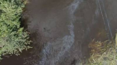 Нефтяной разлив в реке Бочин ликвидируют в Хабаровском крае - 5-tv.ru - Хабаровский край