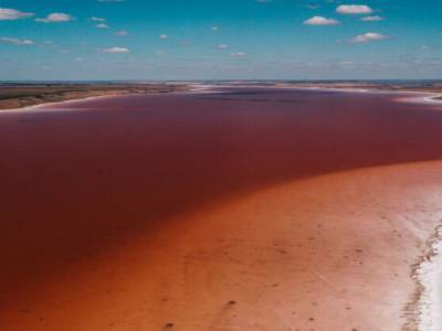 Вода в Куяльницком лимане изменила цвет: что известно - golos.ua - Украина - Одесская обл.